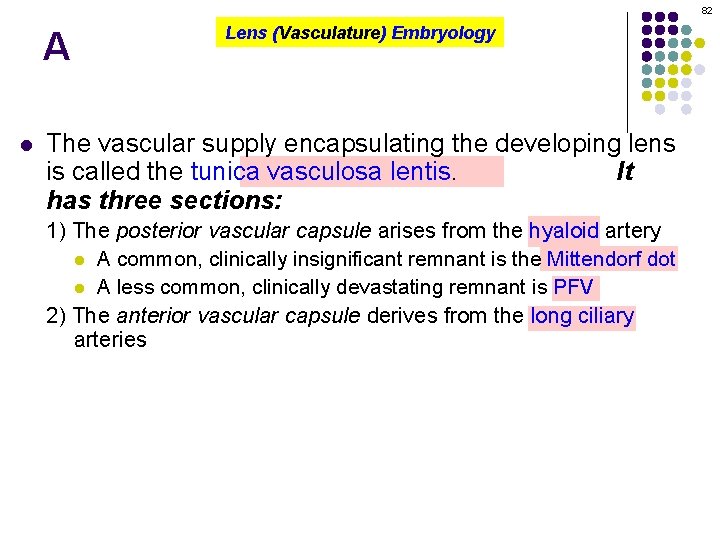 82 A l Lens (Vasculature) Embryology The vascular supply encapsulating the developing lens is