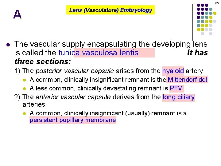 85 A l Lens (Vasculature) Embryology The vascular supply encapsulating the developing lens is
