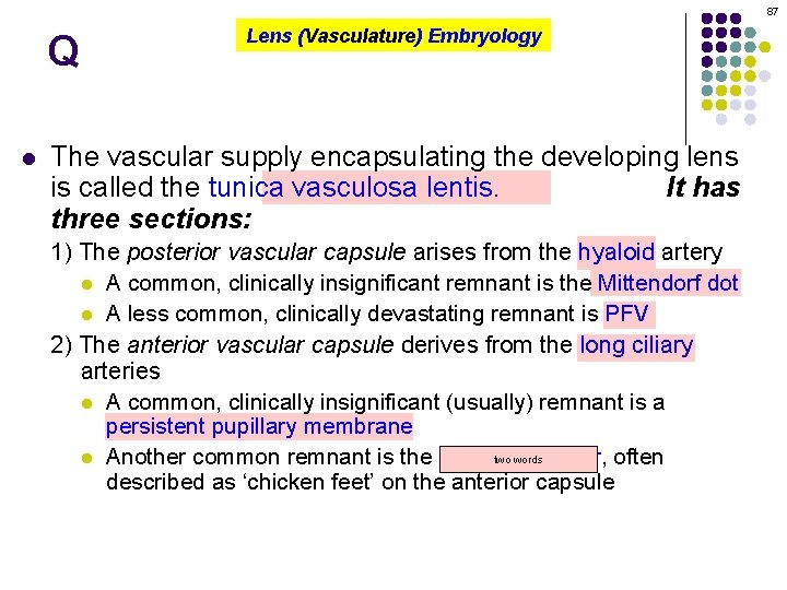 87 Q l Lens (Vasculature) Embryology The vascular supply encapsulating the developing lens is