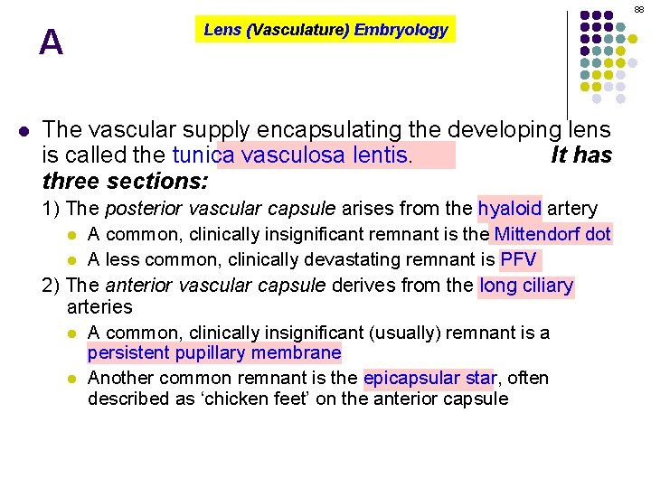 88 A l Lens (Vasculature) Embryology The vascular supply encapsulating the developing lens is