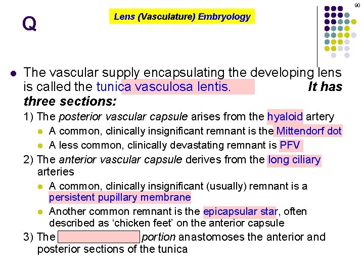 90 Q l Lens (Vasculature) Embryology The vascular supply encapsulating the developing lens is