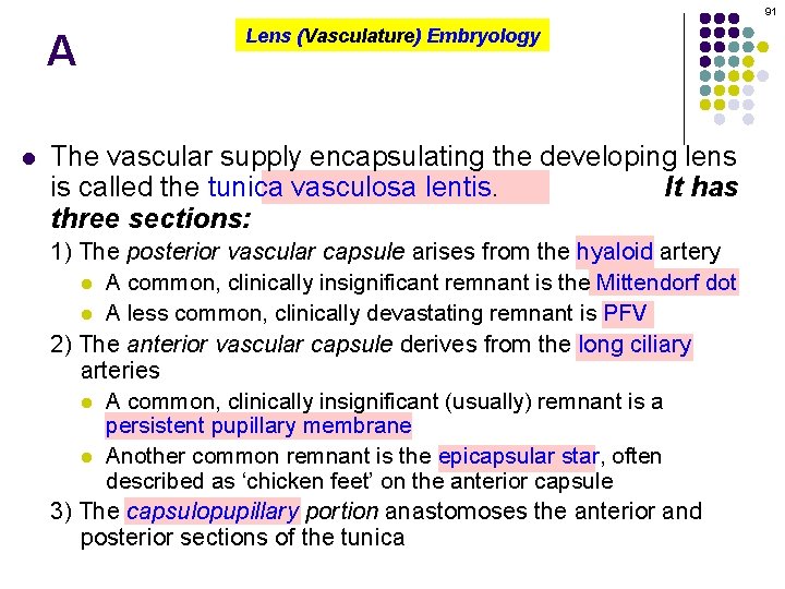 91 A l Lens (Vasculature) Embryology The vascular supply encapsulating the developing lens is