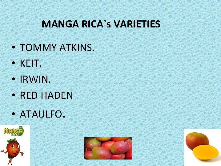 MANGA RICA`s VARIETIES • • TOMMY ATKINS. KEIT. IRWIN. RED HADEN • ATAULFO. 