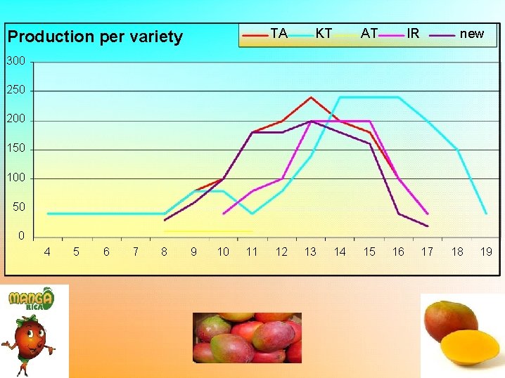 TA Production per variety KT AT IR new 300 250 200 150 100 50