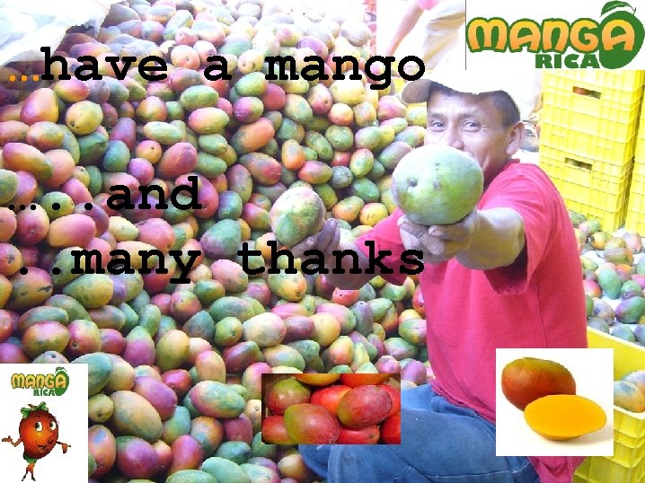 …have a mango …. . and. . many thanks 