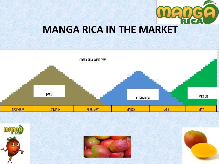 MANGA RICA IN THE MARKET 