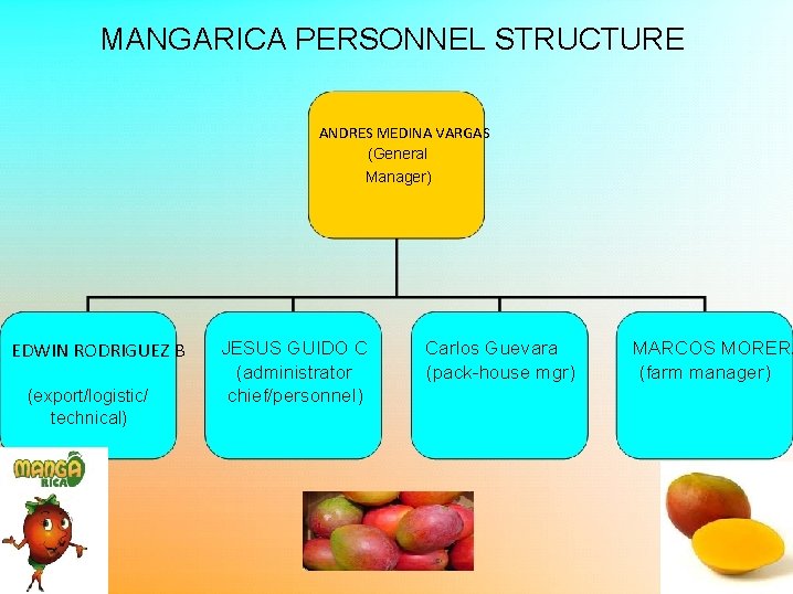 MANGARICA PERSONNEL STRUCTURE ANDRES MEDINA VARGAS (General Manager) EDWIN RODRIGUEZ B (export/logistic/ technical) JESUS