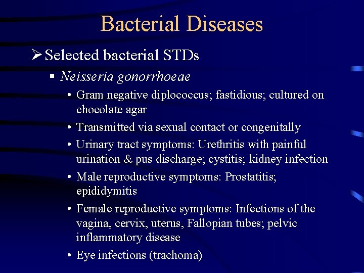 Bacterial Diseases Ø Selected bacterial STDs § Neisseria gonorrhoeae • Gram negative diplococcus; fastidious; Bacterial Diseases Ø Selected bacterial STDs § Neisseria gonorrhoeae • Gram negative diplococcus; fastidious;