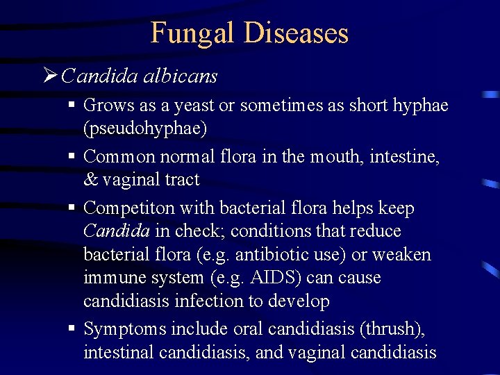 Fungal Diseases Ø Candida albicans § Grows as a yeast or sometimes as short Fungal Diseases Ø Candida albicans § Grows as a yeast or sometimes as short