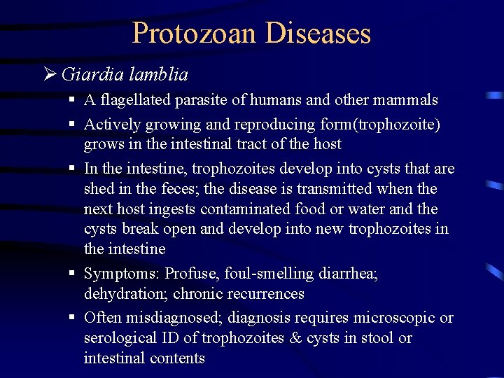Protozoan Diseases Ø Giardia lamblia § A flagellated parasite of humans and other mammals Protozoan Diseases Ø Giardia lamblia § A flagellated parasite of humans and other mammals
