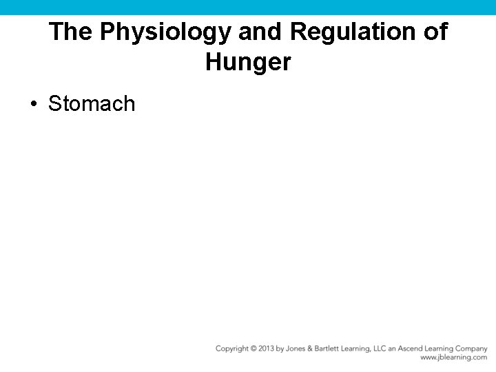 The Physiology and Regulation of Hunger • Stomach 