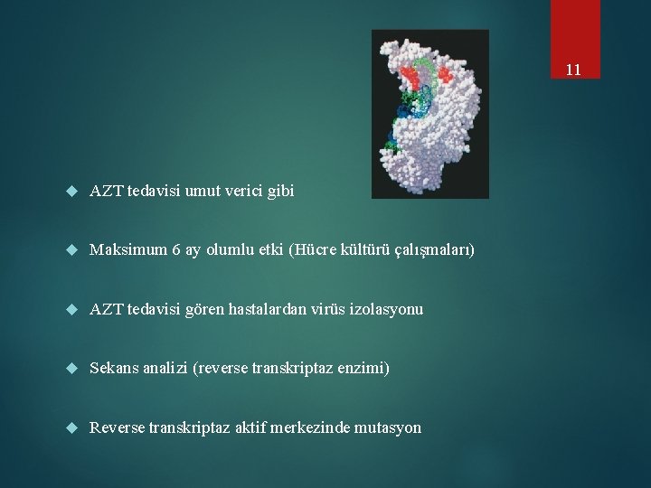 11 AZT tedavisi umut verici gibi Maksimum 6 ay olumlu etki (Hücre kültürü çalışmaları)