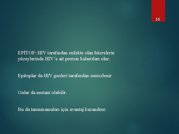 16 EPİTOP: HIV tarafından enfekte olan hücrelerin yüzeylerinde HIV’e ait protein kalıntıları olur. Epitoplar