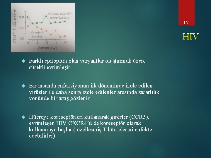 17 HIV Farklı epitopları olan varyantlar oluşturmak üzere sürekli evrimleşir Bir insanda enfeksiyonun ilk