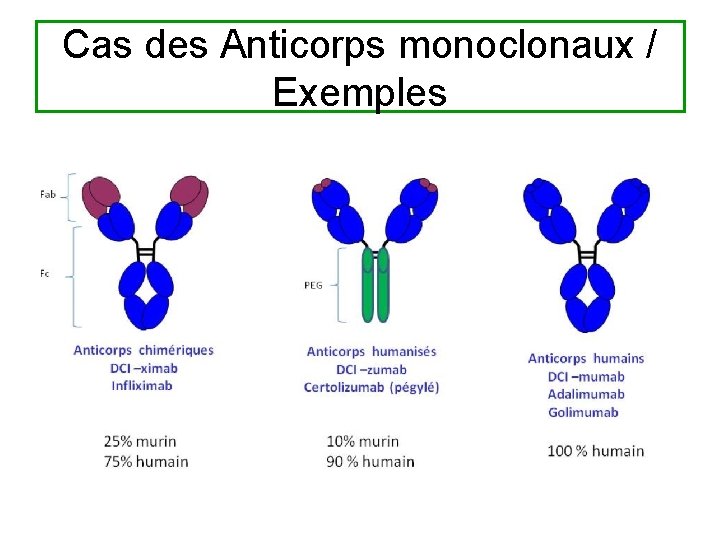 Cas des Anticorps monoclonaux / Exemples 