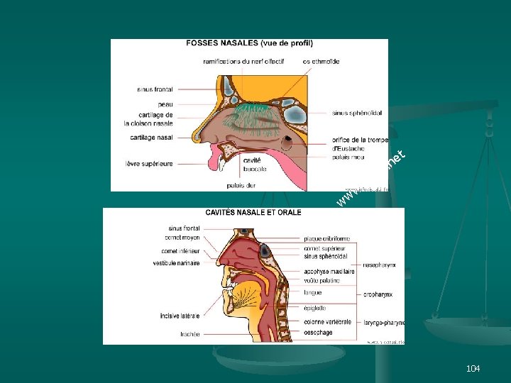 et n. ts i p s. i w w w 104 