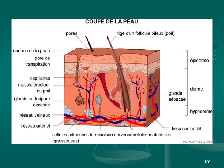 et n. ts i p s. i w w w 106 