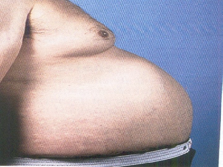 et n. ts i p s. i w w w 27 