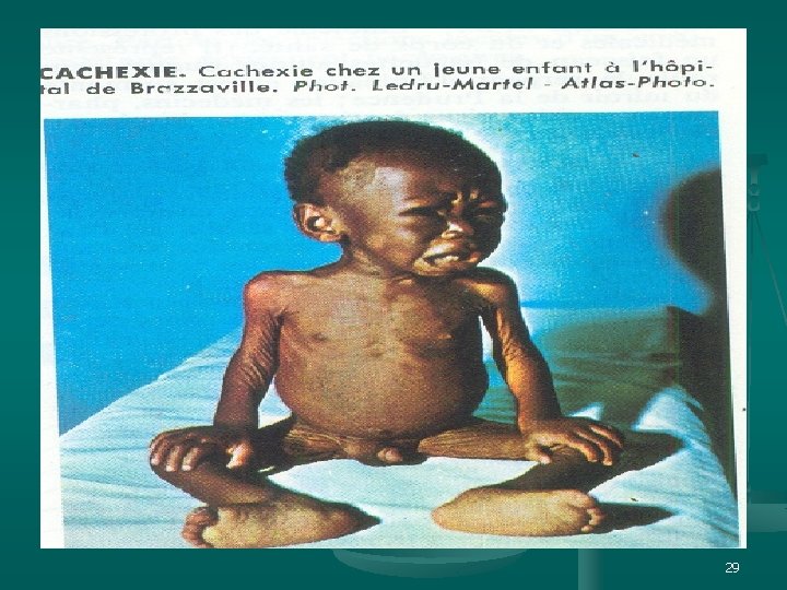 et n. ts i p s. i w w w 29 