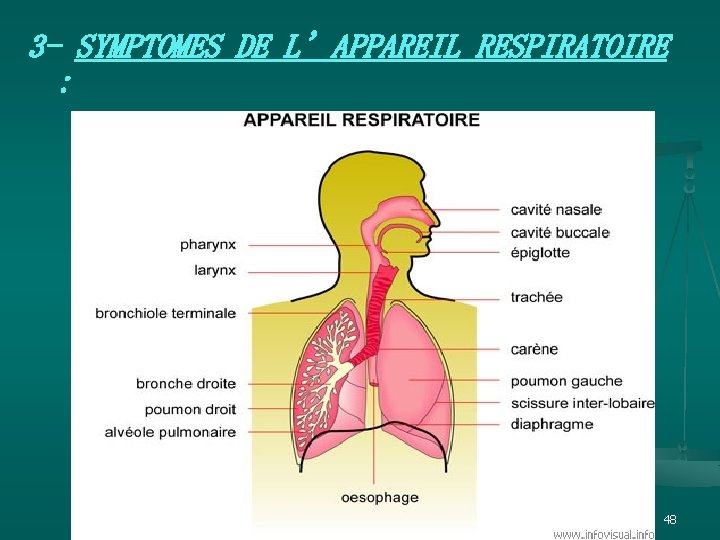 3 - SYMPTOMES DE L’APPAREIL RESPIRATOIRE : et n. ts i p s. i