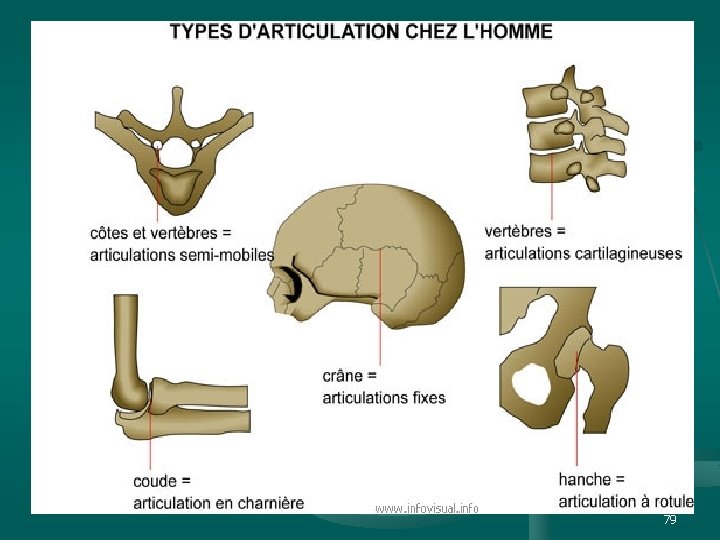 et n. ts i p s. i w w w 79 