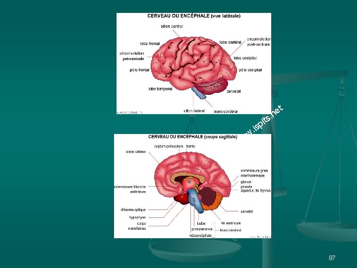 et n. ts i p s. i w w w 87 