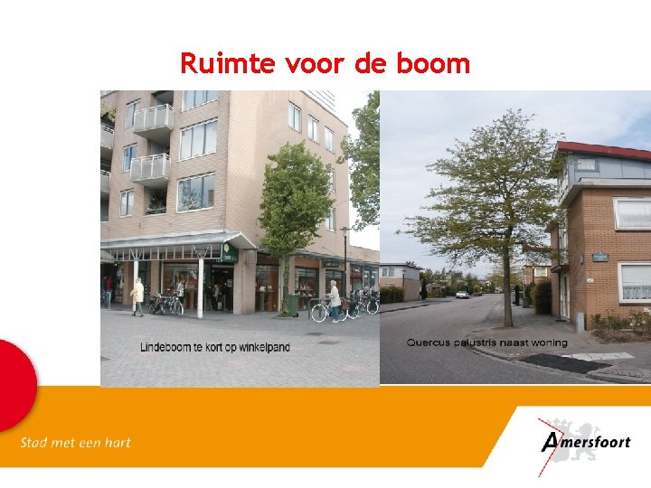 Ruimte voor de boom 