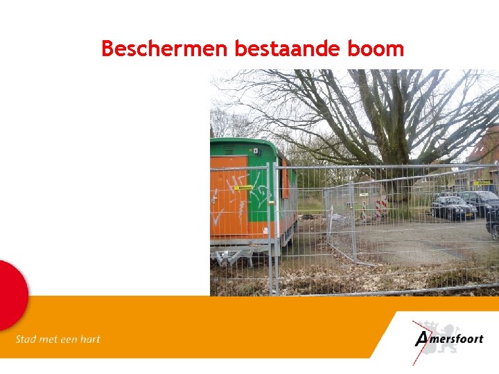 Beschermen bestaande boom 