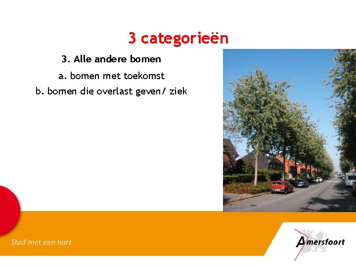 3 categorieën 3. Alle andere bomen a. bomen met toekomst b. bomen die overlast