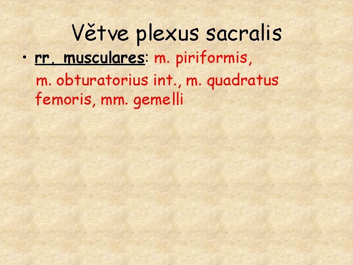 Větve plexus sacralis • rr. musculares: m. piriformis, m. obturatorius int. , m. quadratus