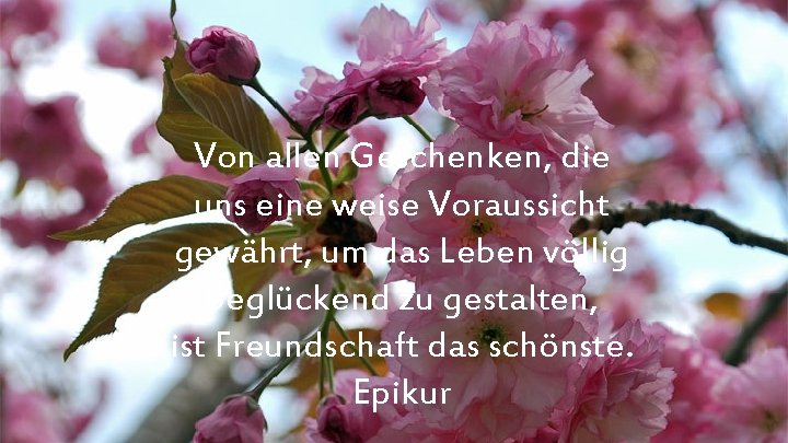 Von allen Geschenken, die uns eine weise Voraussicht gewährt, um das Leben völlig beglückend
