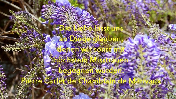 Die Liebe lässt uns an Dinge glauben, denen wir sonst mit höchstem Misstrauen begegnen