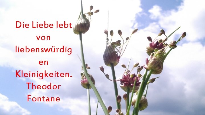 Die Liebe lebt von liebenswürdig en Kleinigkeiten. Theodor Fontane 
