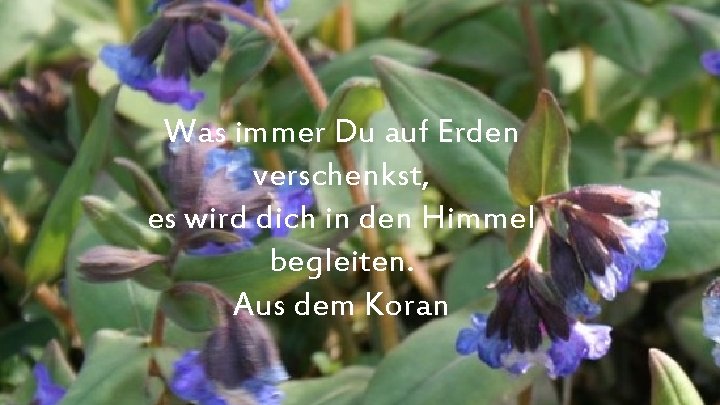 Was immer Du auf Erden verschenkst, es wird dich in den Himmel begleiten. Aus
