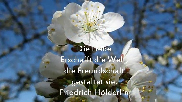 Die Liebe Erschafft die Welt, die Freundschaft gestaltet sie. Friedrich Hölderlin 