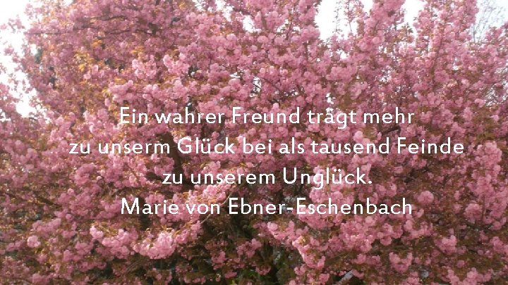 Ein wahrer Freund trägt mehr zu unserm Glück bei als tausend Feinde zu unserem