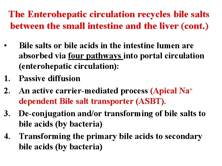 The Enterohepatic circulation recycles bile salts between the small intestine and the liver (cont. The Enterohepatic circulation recycles bile salts between the small intestine and the liver (cont.