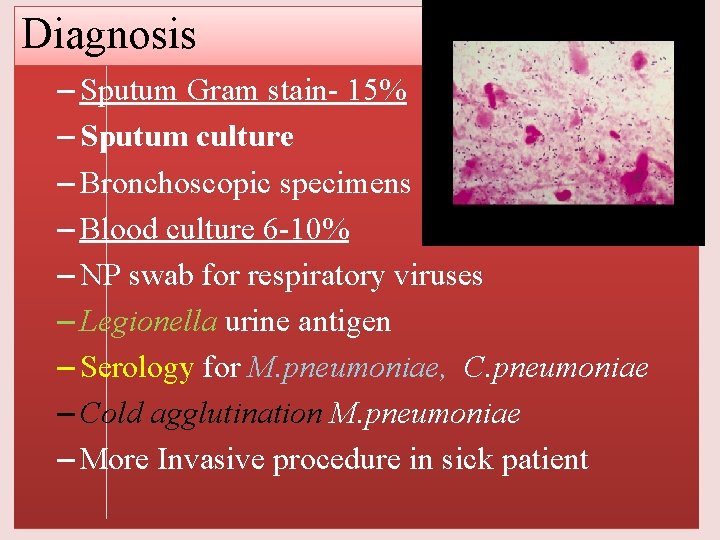 Diagnosis – Sputum Gram stain- 15% – Sputum culture – Bronchoscopic specimens – Blood