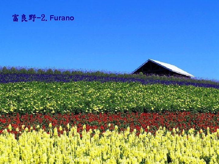 富良野-2. Furano 
