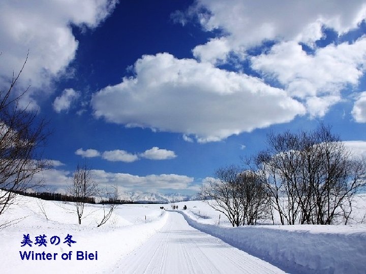 美瑛の冬 Winter of Biei 
