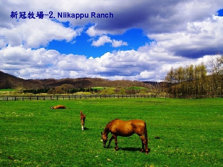 新冠牧場-2. Niikappu Ranch 