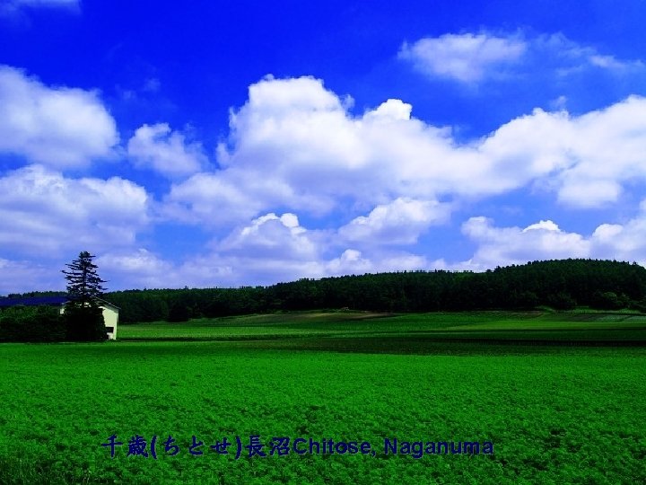 千歳(ちとせ)長沼Chitose, Naganuma 