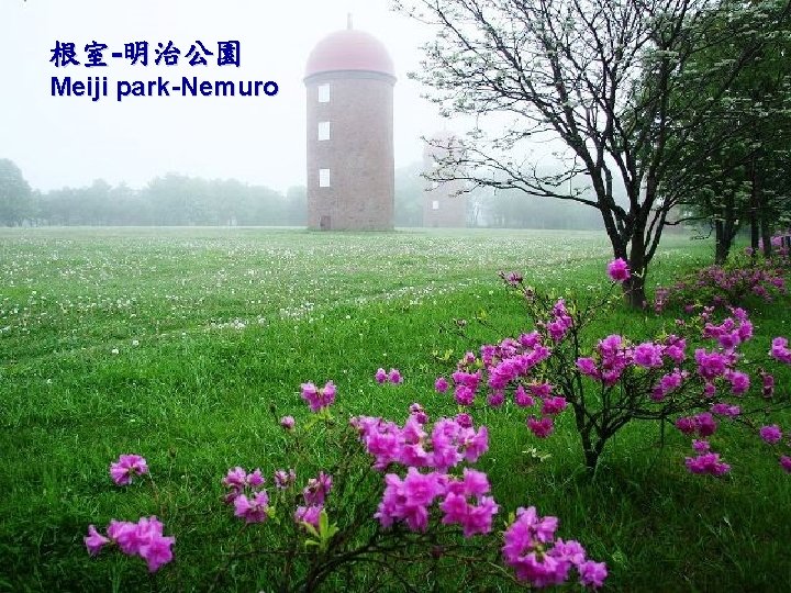 根室-明治公園 Meiji park-Nemuro 