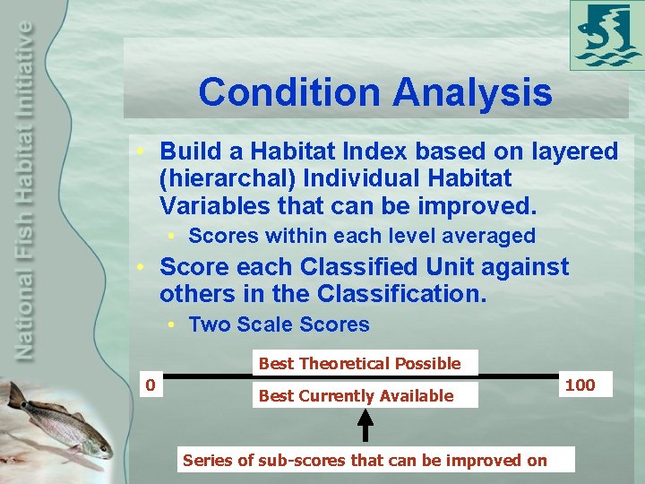 Condition Analysis • Build a Habitat Index based on layered (hierarchal) Individual Habitat Variables