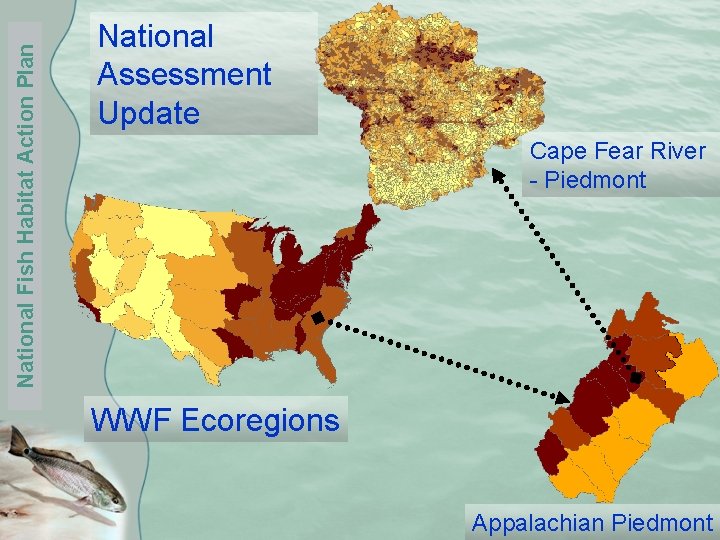 National Fish Habitat Action Plan National Assessment Update Cape Fear River - Piedmont WWF