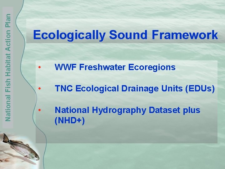 National Fish Habitat Action Plan Ecologically Sound Framework • WWF Freshwater Ecoregions • TNC