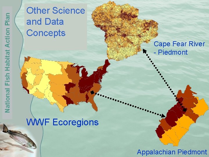 National Fish Habitat Action Plan Other Science and Data Concepts Cape Fear River -