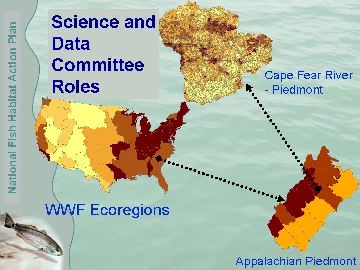 National Fish Habitat Action Plan Science and Data Committee Roles Cape Fear River -