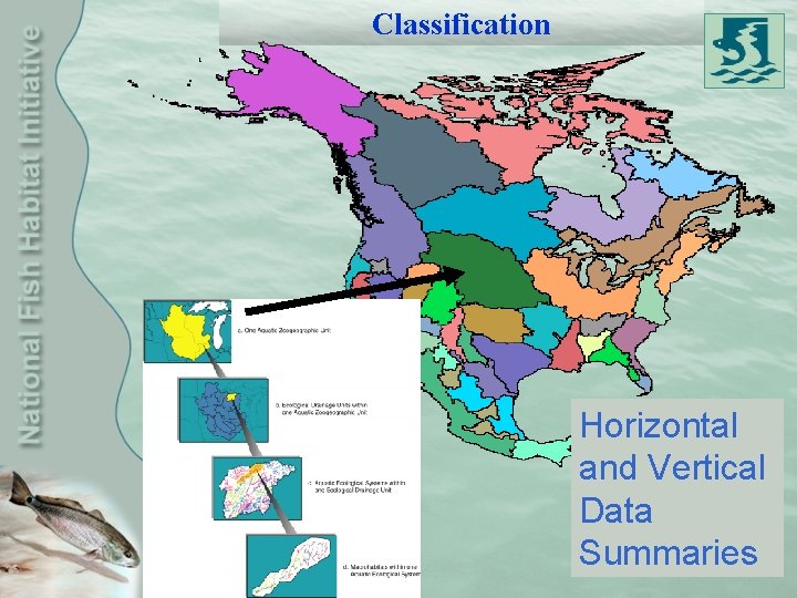 Classification Horizontal and Vertical Data Summaries 