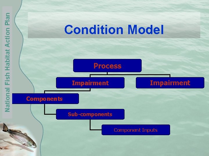 National Fish Habitat Action Plan Condition Model Process Impairment Components Sub-components Component Inputs 
